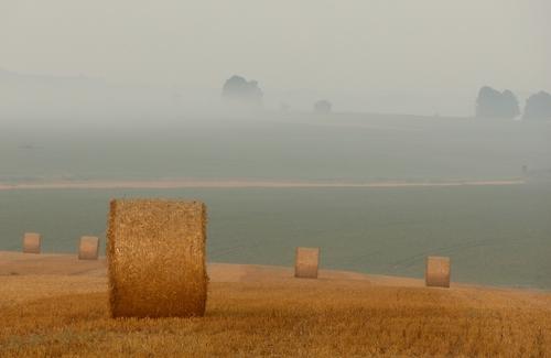 Fogo 777 Plataforma: Ganhe Bônus Exclusivos e Jogue Agora!